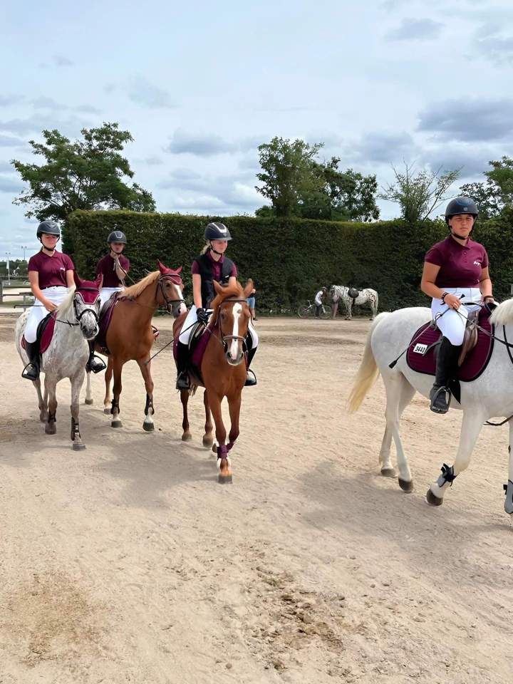 Cours d'équitation pour enfants, ados et adultes.