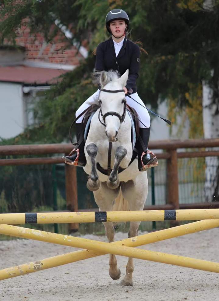 Stage d'équitation Nomain