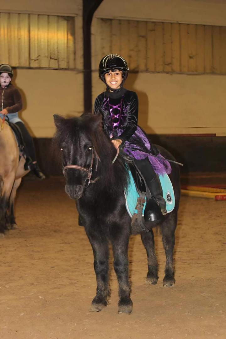 Pension poney Nomain