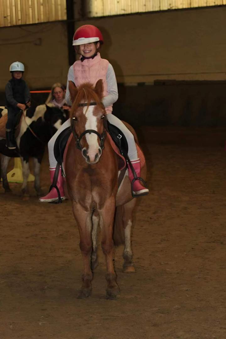 Hébergement poney Orchies