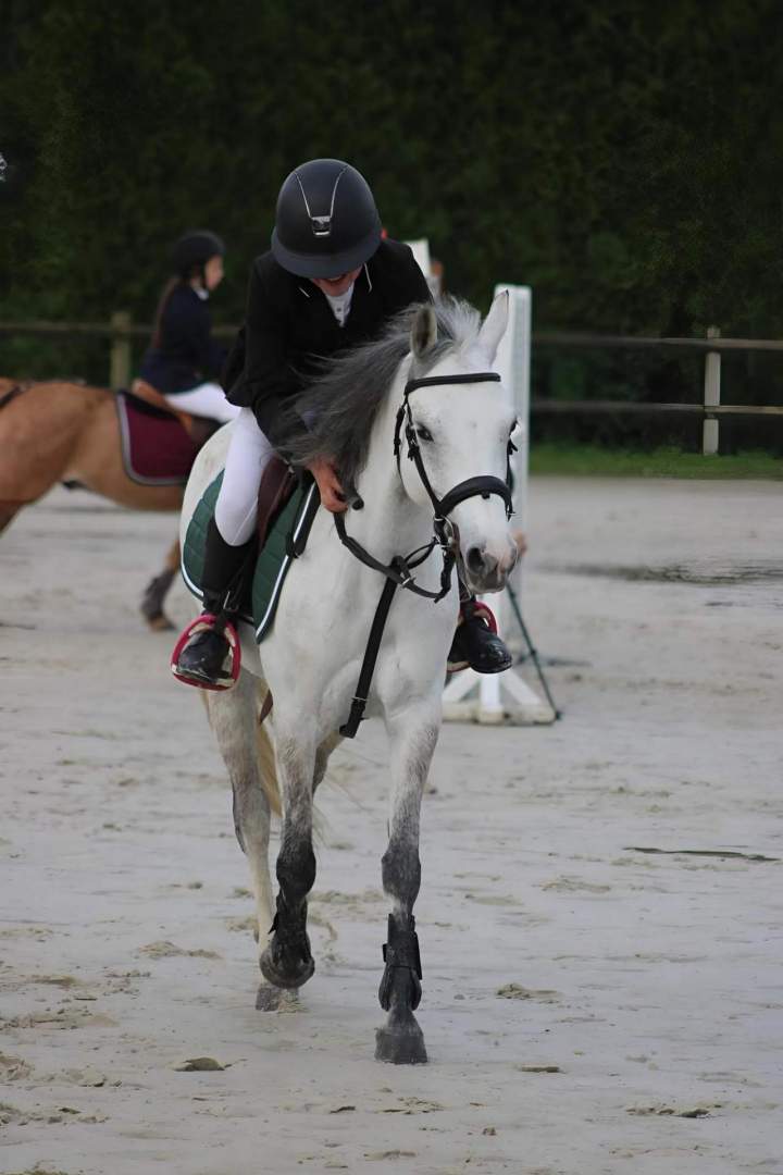 Cours d'équitation Nomain