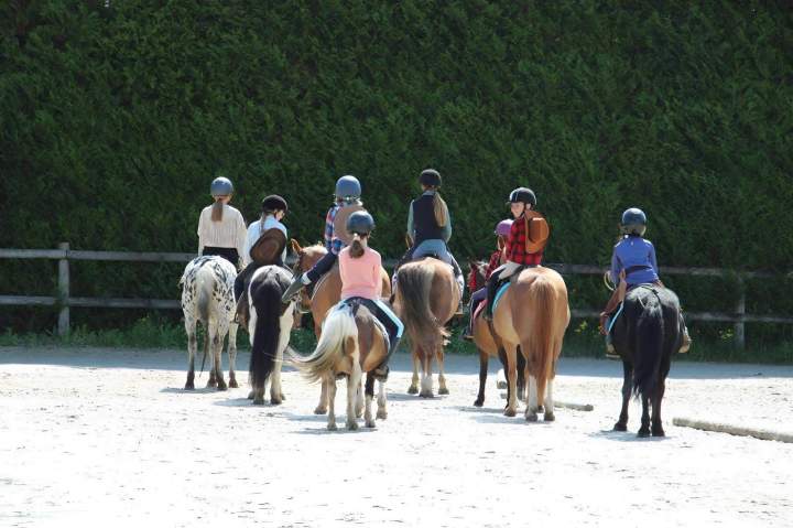 Centre équestre Nomain