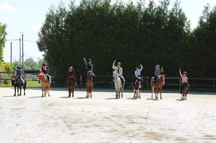 Apprentissage équitation Nomain