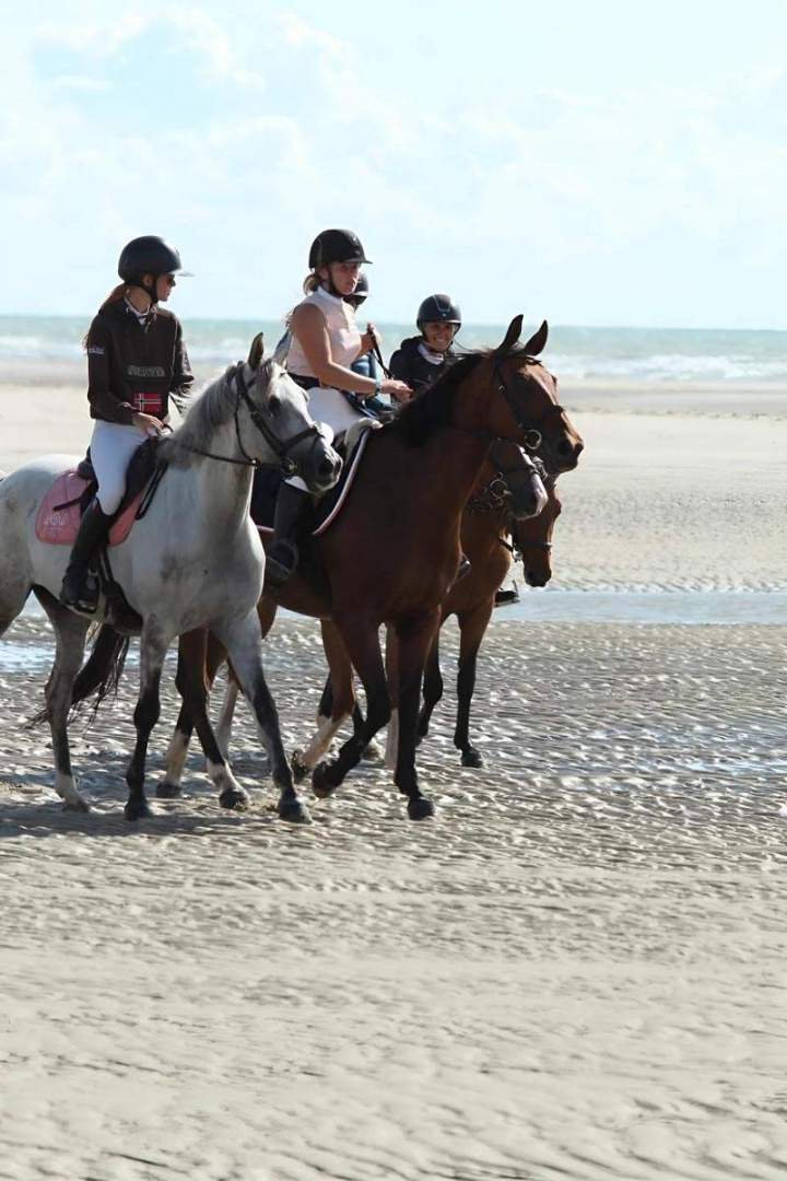 Centre équestre Nomain