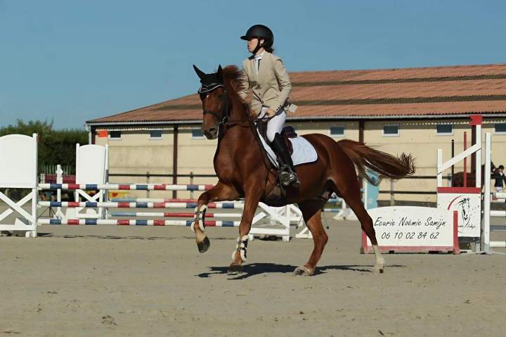 Stage équestre Nomain