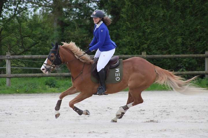 Stage d'équitation Nomain