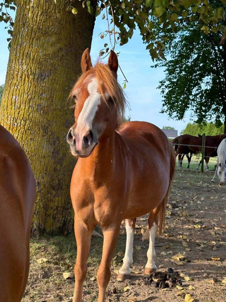 Betterimage.ai 1749018141488