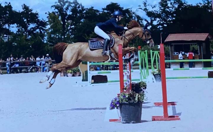 Concours équestre Nomain