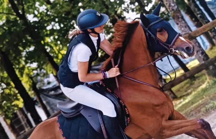 Concours équestre Nomain