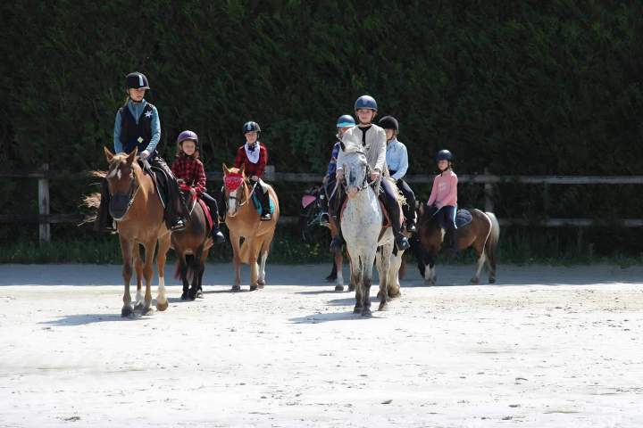 Apprentissage équitation Nomain