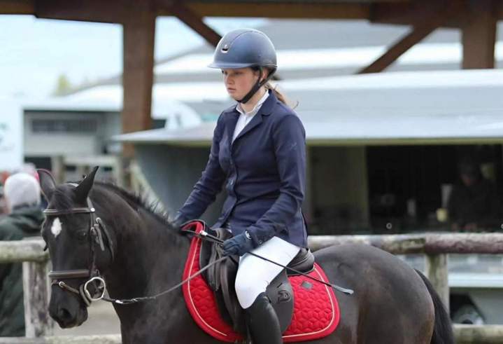 Stages d'équitation adaptés à tous les niveaux.