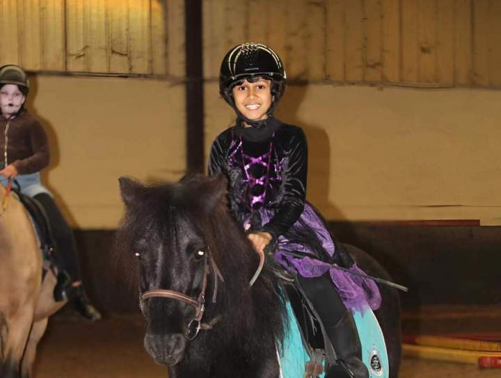 Pension pour poneys, soins et hébergement de qualité.