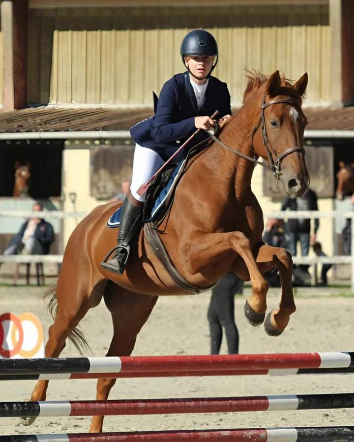 Centre équestre stage Nomain