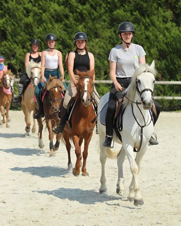 Activité équestre vacances Nomain